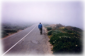 Point Reyes, Ca