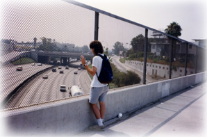 LA Freeway