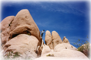 Jumbo Rocks, Ca