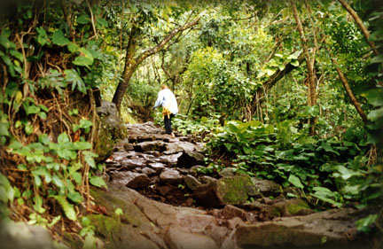 Jenny Climbing the Trail