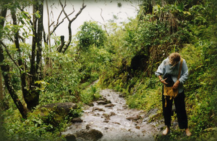 Kalalau Trail