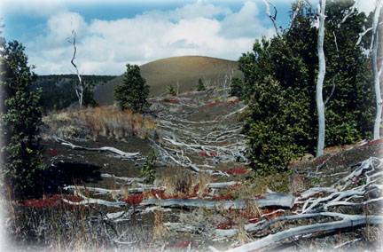 The Cinder Cone