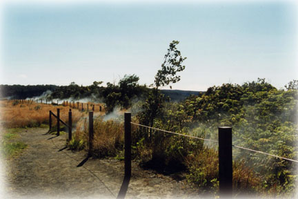 On the Devastation Trail