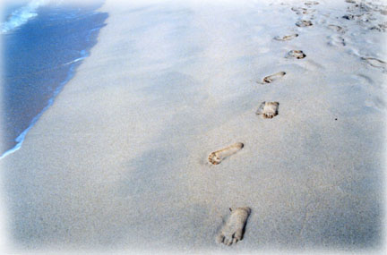 Footprints in the Sand