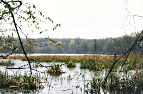 Mogadore Lake