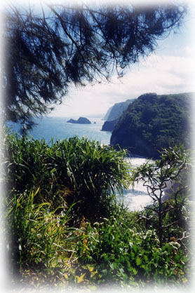 Pololu Canyon