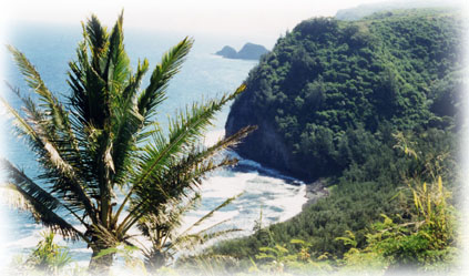 Pololu Valley